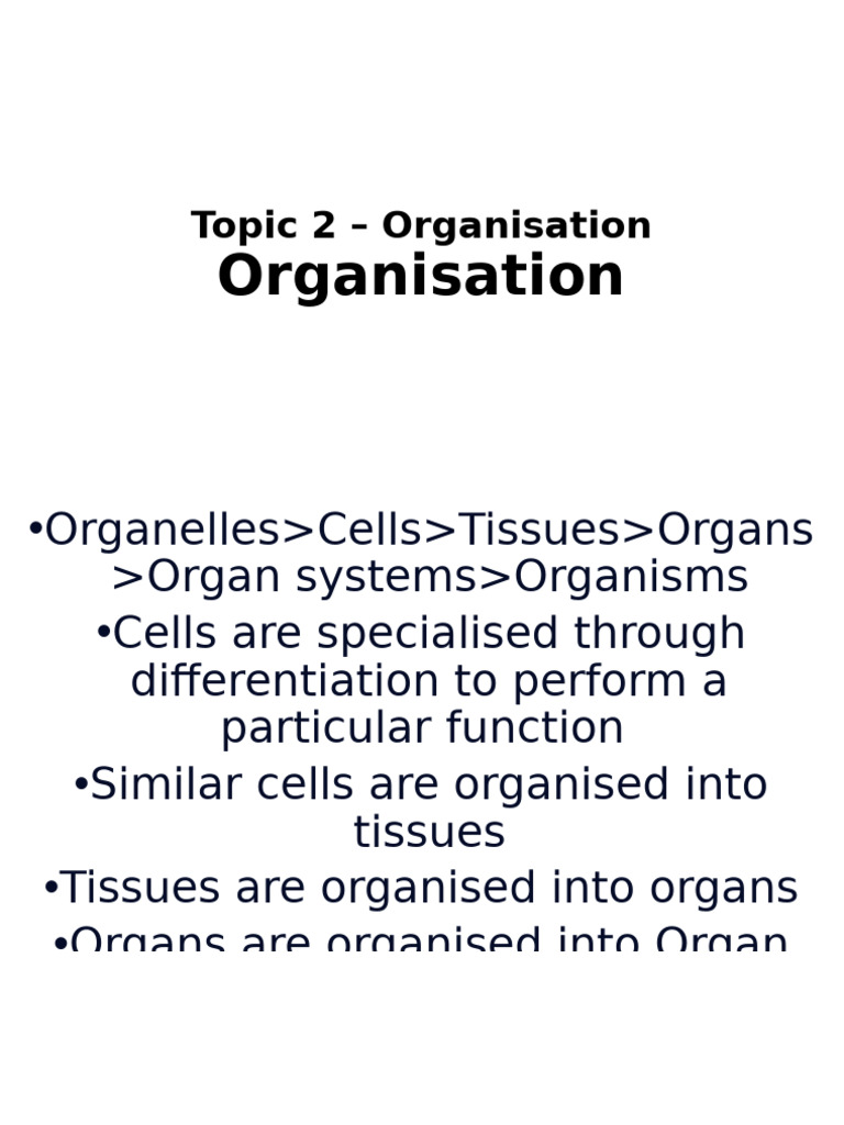 Topic 2 - Organisation | PDF | Heart | Artery