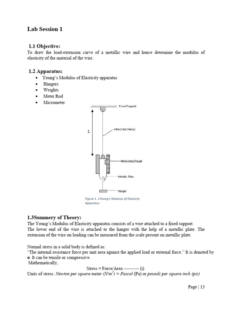 Lab Session 1 | PDF | Elasticity (Physics) | Young's Modulus