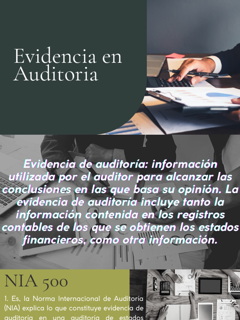 El proceso de Auditoria | PDF | Auditoría | Contralor