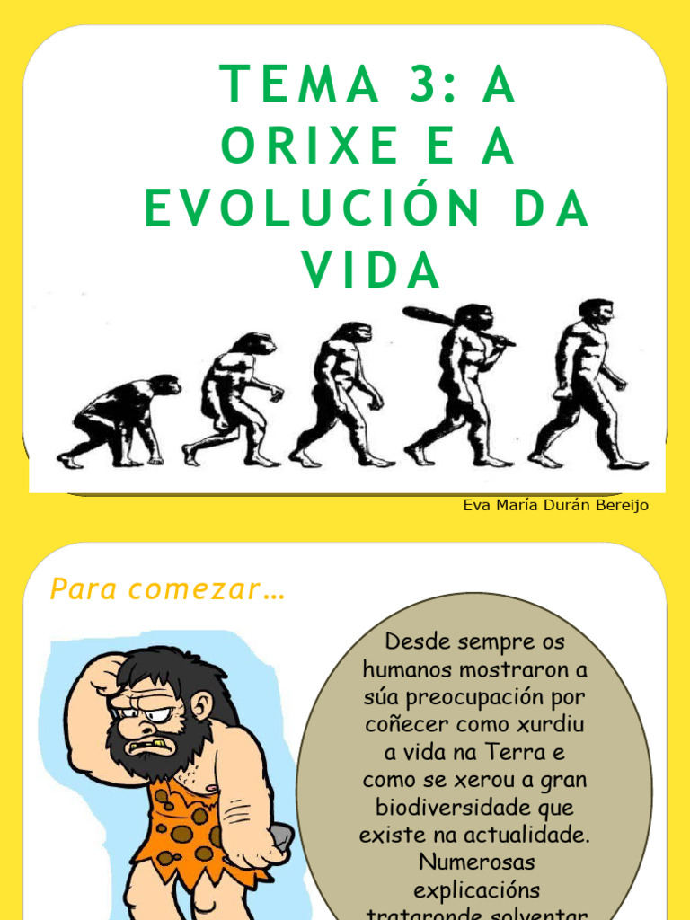Tema 3 Orixe Da Vida e Probas Da Evolución E RESUMO | PDF