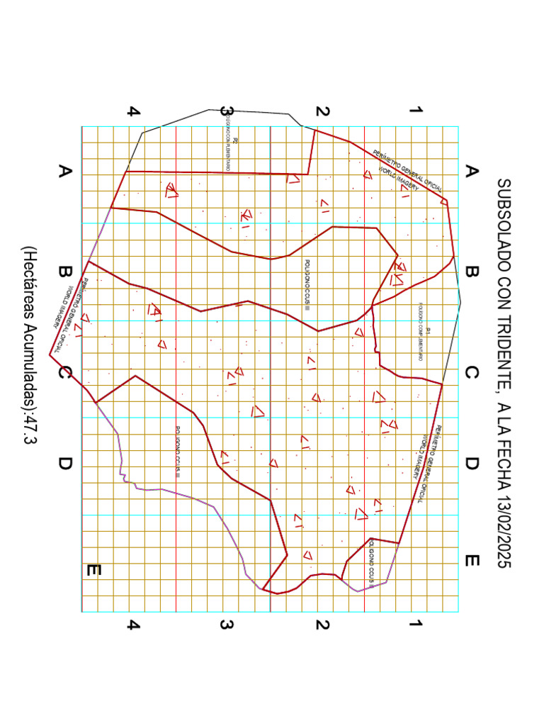Subsolado Tridente 13.02.2025 | PDF