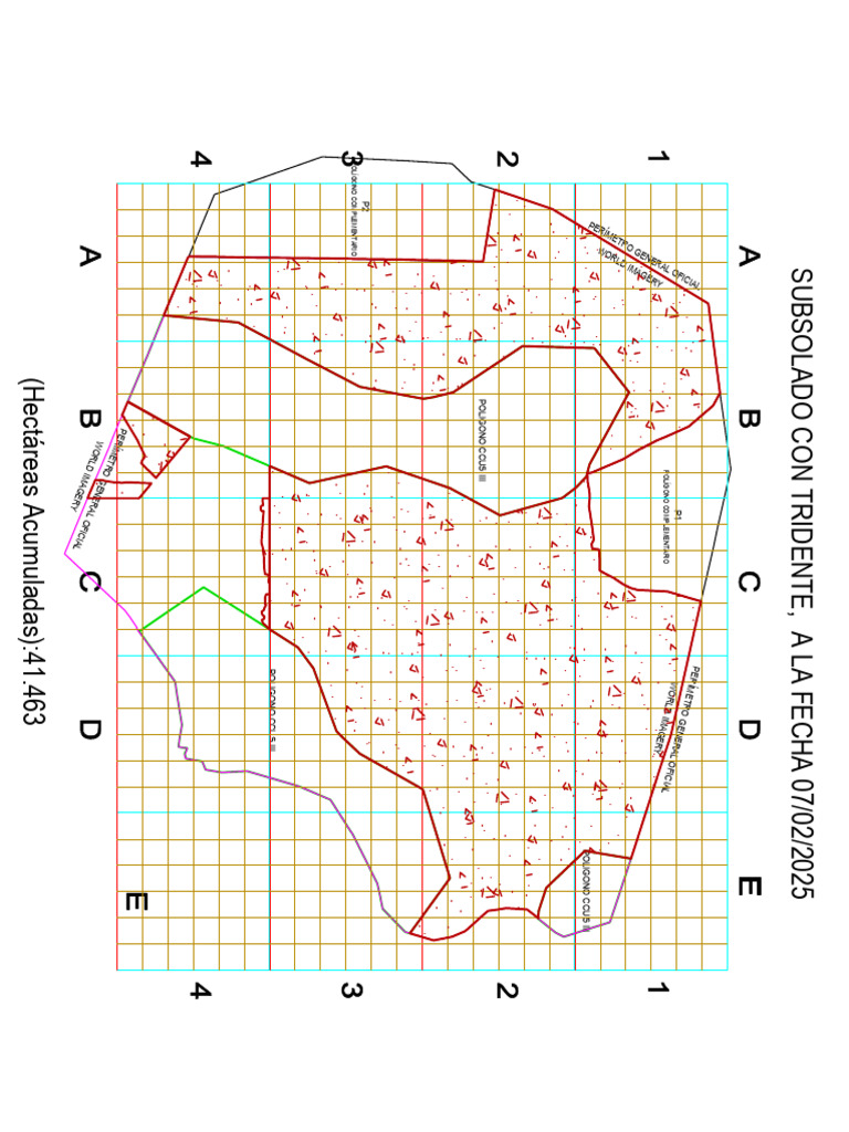 Subsolado Excavadora 06.02.2025 | PDF