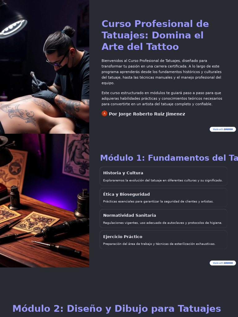 Curso Profesional de Tatuajes Domina El Arte Del Tattoo | PDF
