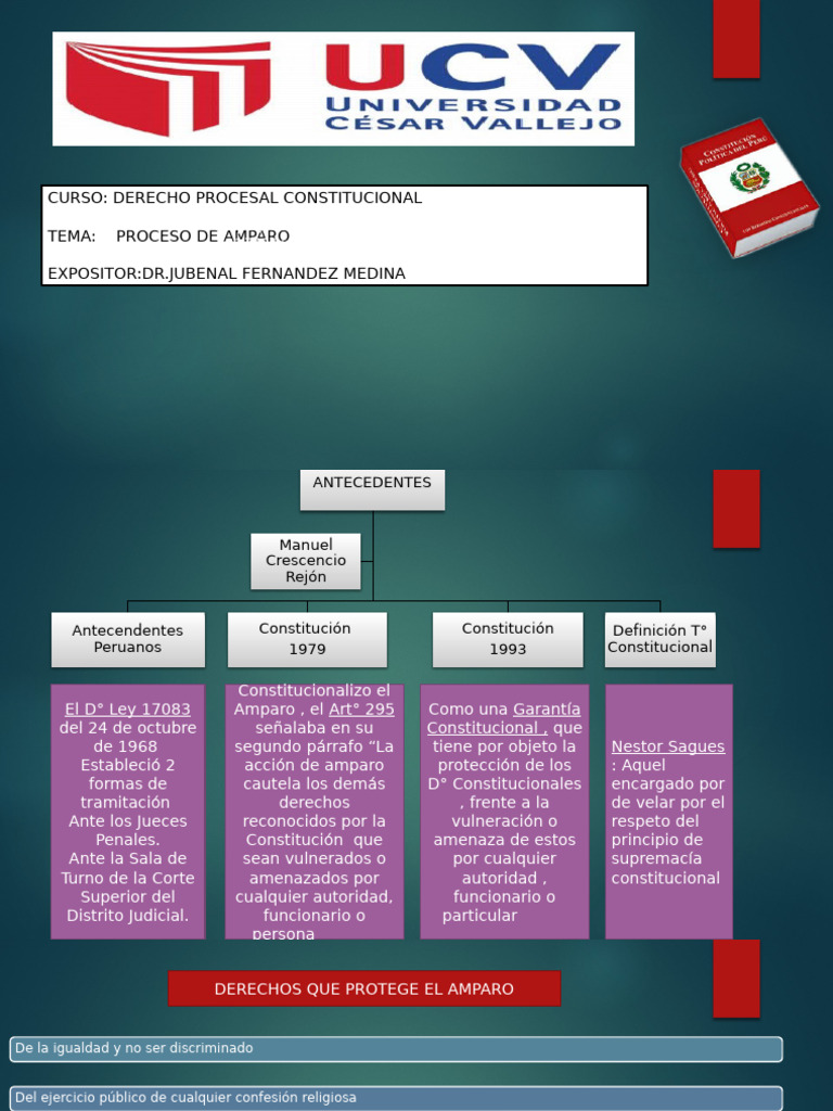 Proceso de Amparo en Derecho Procesal Constitucional | PDF | Ley ...