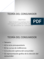 Teoría Del Consumidor