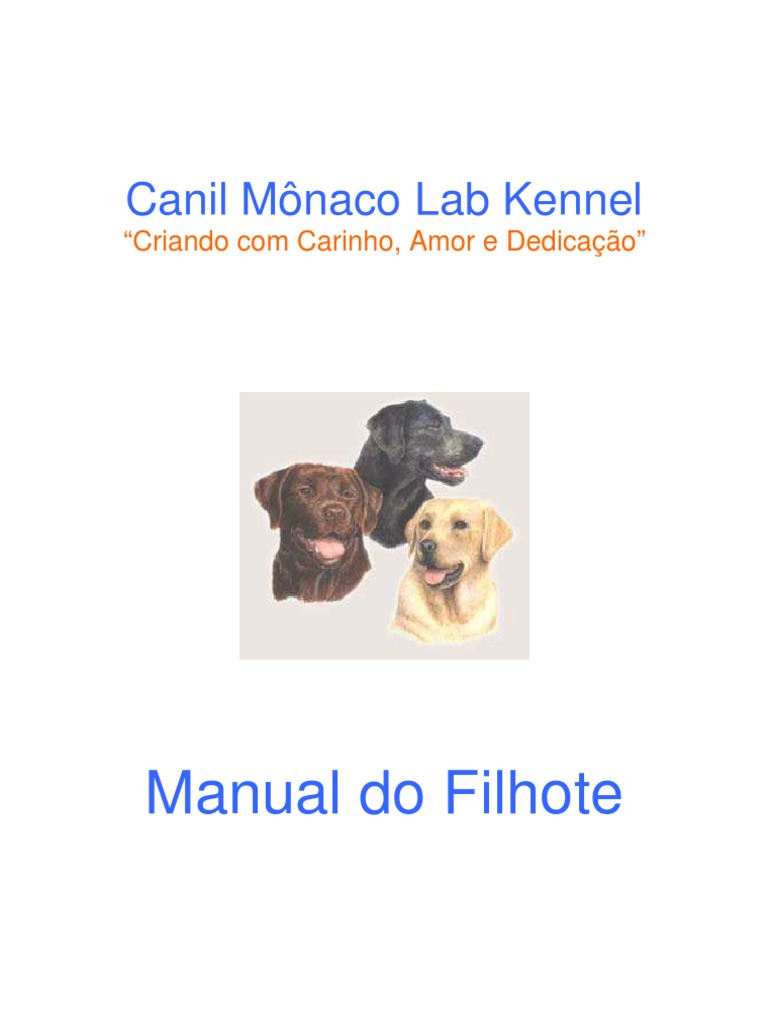 Manual de Cuidados para Filhotes de Labrador | PDF | Labrador retriever ...