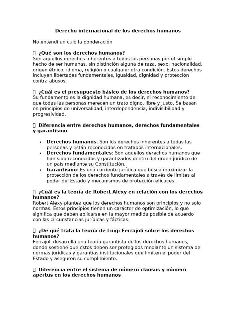 Derecho Internacional de Los Derechos Humanos | PDF | Derechos humanos ...