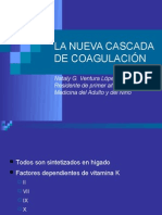 Casacadadecoagulacionfinal2003 100203194423 Phpapp02