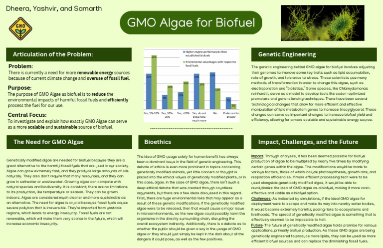 GMO Algae For Biofuel | PDF | Genetically Modified Organism | Genetic ...