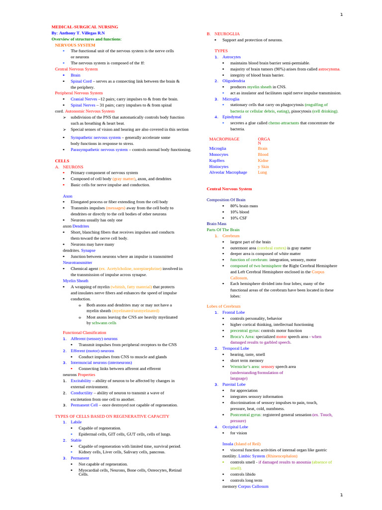 Med Surg Notes | PDF | Spinal Cord | Axon