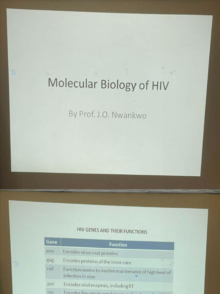 MBC 331 Molecular Biology of Hiv | PDF