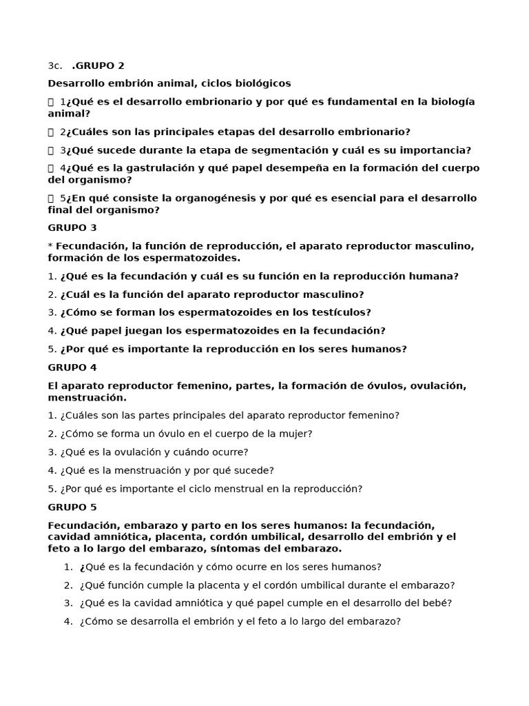 3c. Tallers 3ca | PDF