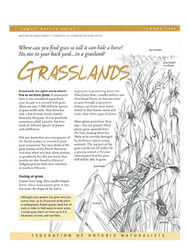Grasslands | PDF