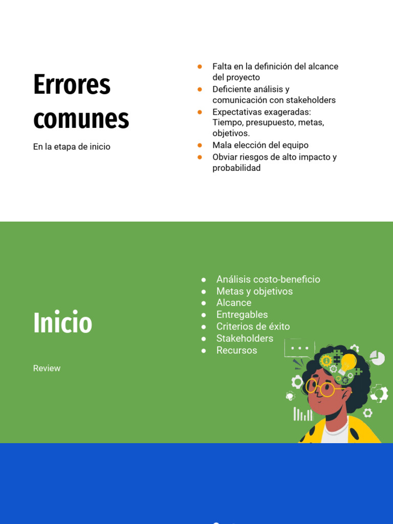 Errores Comunes en Gestión de Proyectos | PDF | Presupuesto