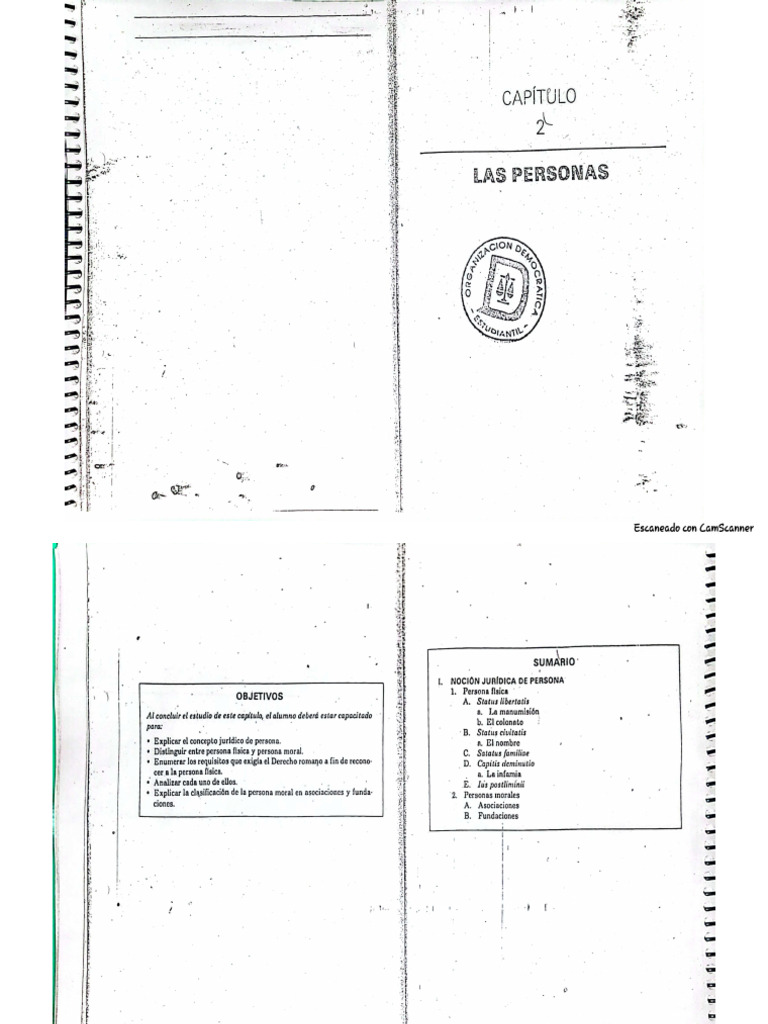Capitulo 2 y 3 Romano | PDF