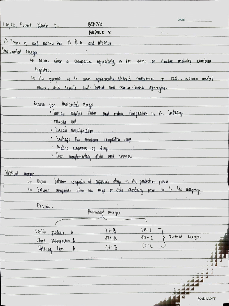 Module 8 Notes - Lopez, Frank Noah O., BSA 3B | PDF