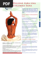 Guía de Higiene de Columna | PDF | La columna vertebral