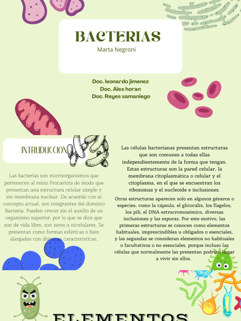 Bacterias PDF | PDF | Las bacterias | Bacterias Gram Positivas