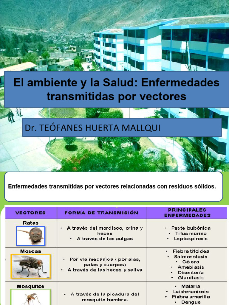 Enfermedades Transmitidas Por Vectores | PDF