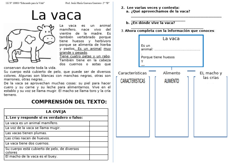 Características y vida de la vaca | PDF | Vacas | Zoología