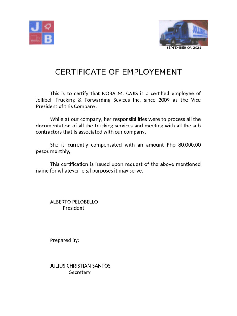 Ceo For Company | PDF