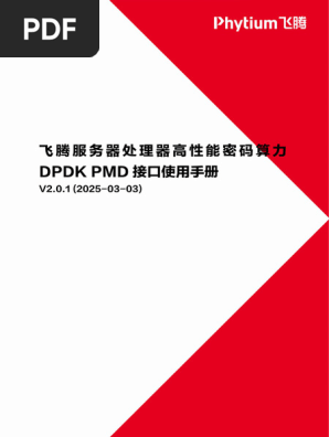 飞腾服务器处理器高性能密码算力DPDK PMD接口使用手册 V2 0 | PDF