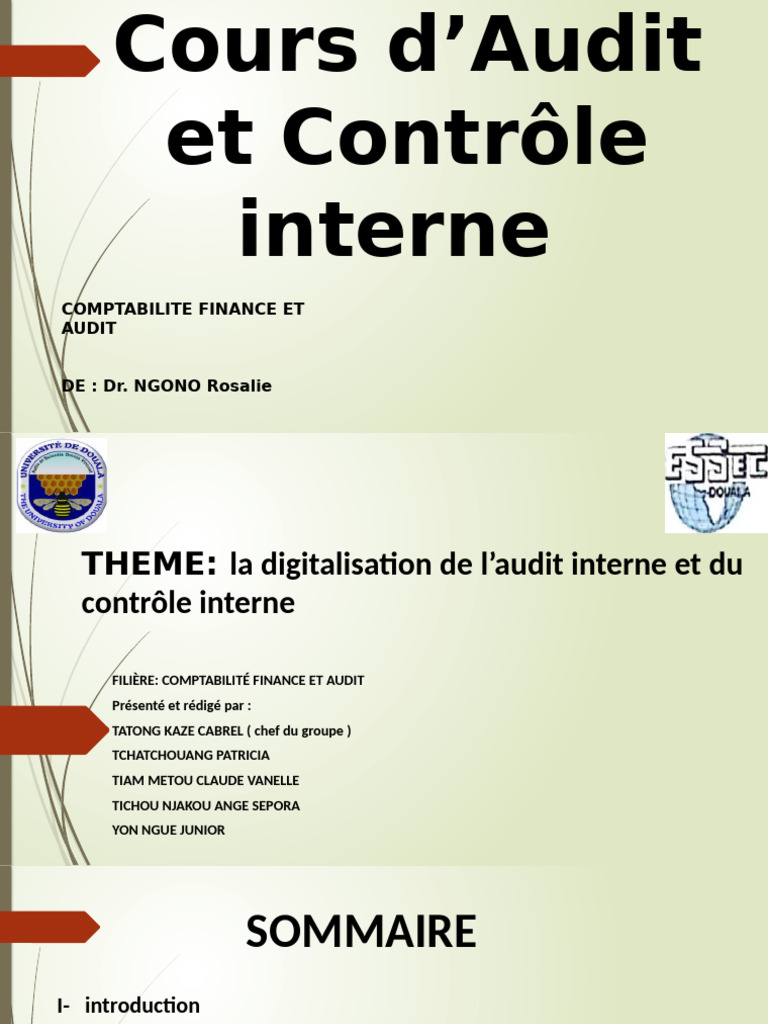 Digitalisation de l'Audit et Contrôle Interne | PDF | Audit | Contrôle ...
