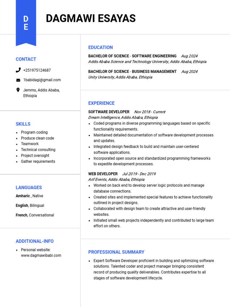 Dagmawi Esayas: Software Developer Profile | PDF | Software Development ...