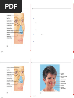 ICD-9 Codes for Nasal Operations | PDF | Human Nose | Surgical Procedures