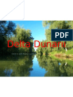 Delta Dunariipower
