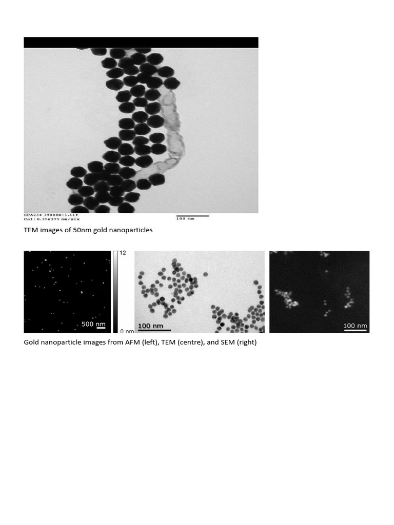 Microscopic Images With Descriptions | PDF
