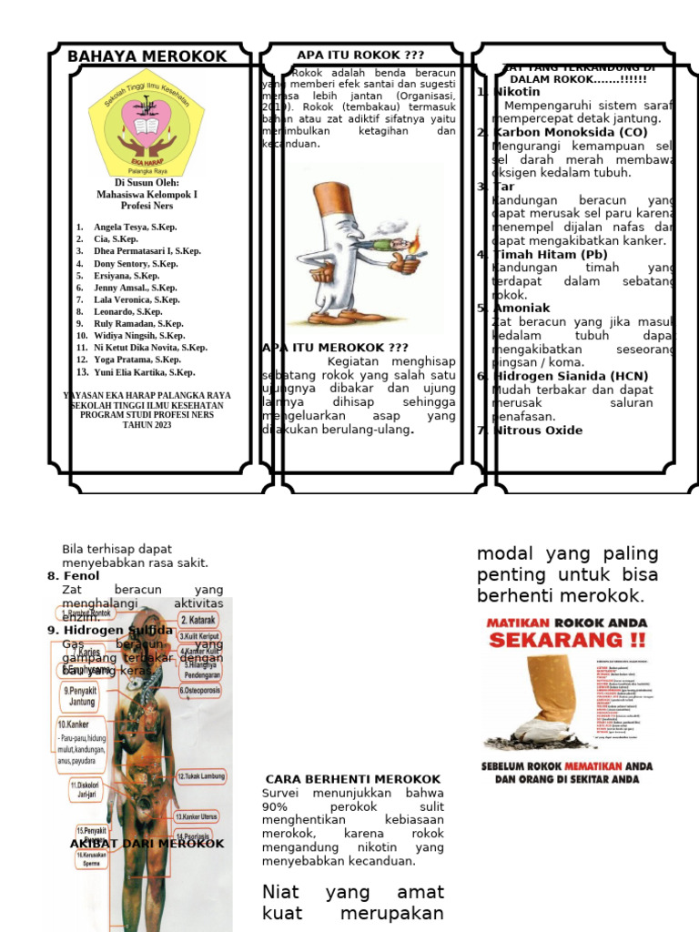 Bahaya dan Dampak Merokok | PDF