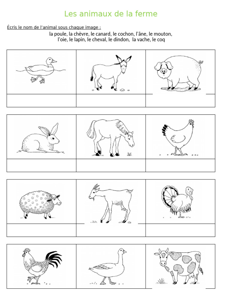 Noms des animaux de la ferme | PDF
