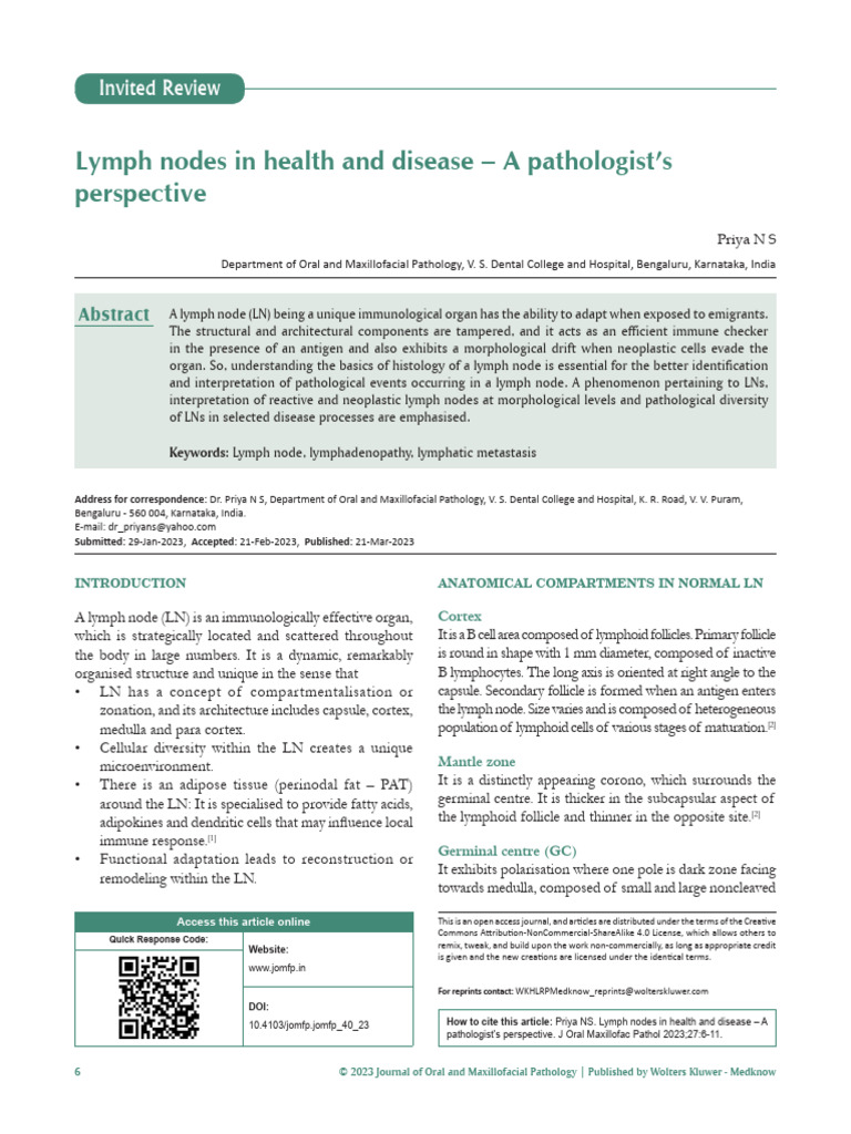 Lymph Nodes in Health and Disease - A Pathologist | PDF | Lymph Node ...