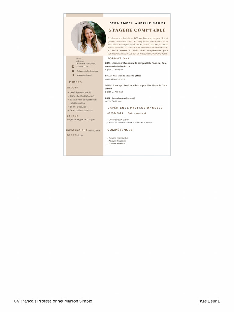 CV Français Professionnel Marron Simple - PDF 2 | PDF