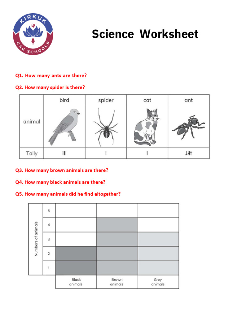 Science Worksheet for Kids Activities | PDF