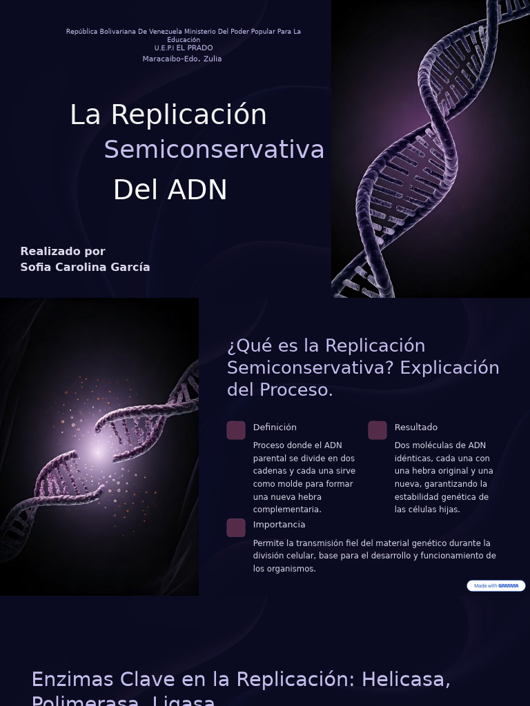 Replicacion Semiconservativa Del ADN Una Mirada Visual (1) | PDF ...