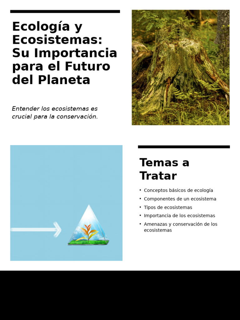 Ecología y Ecosistemas Contenido | PDF | Ecología | Ecosistema