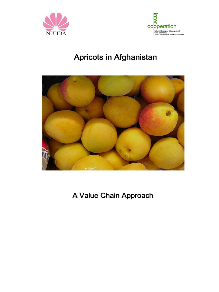 Apricot in Afghanistan. A Value Chain Approach. | PDF | Fertilizer ...