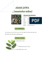 Taksonomi dan Morfologi Tamarindus indica