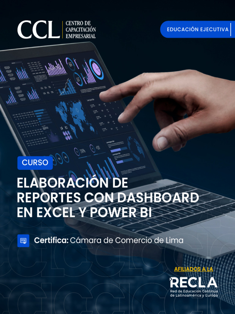 Curso de Reportes en Excel y Power BI | PDF | Enseñando