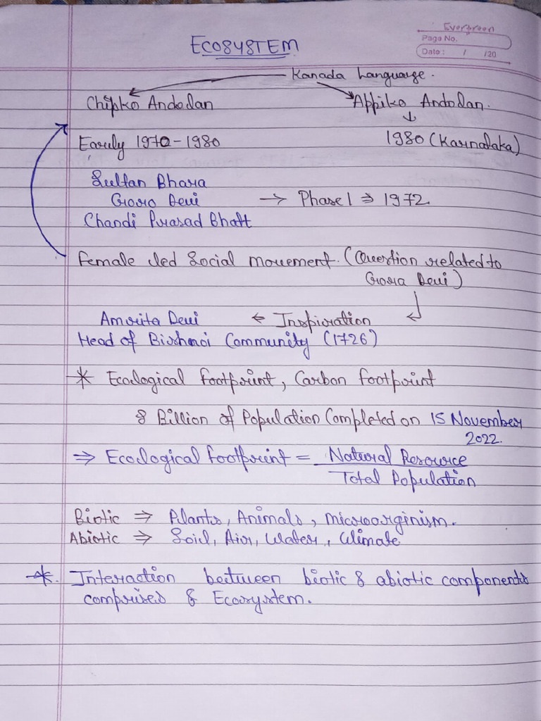 Document Analysis and Overview | PDF