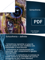 Schizofrenia Are Div Stadii de Evolutie