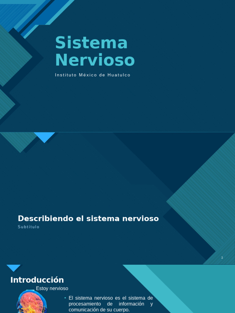 Sistema Nervioso | PDF | Sinapsis | Neurona