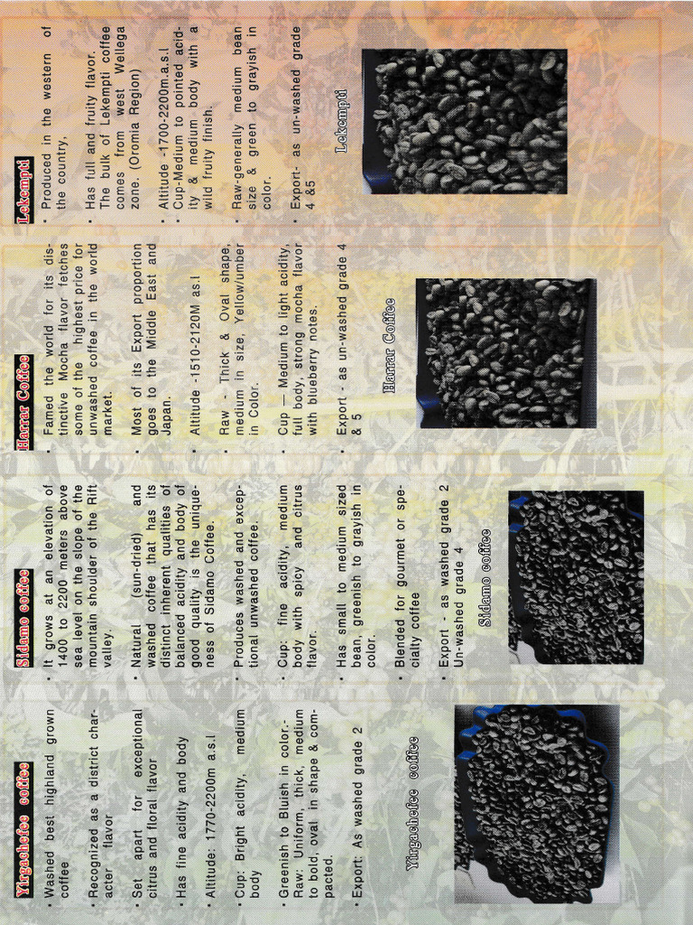 Coffee Specification | PDF