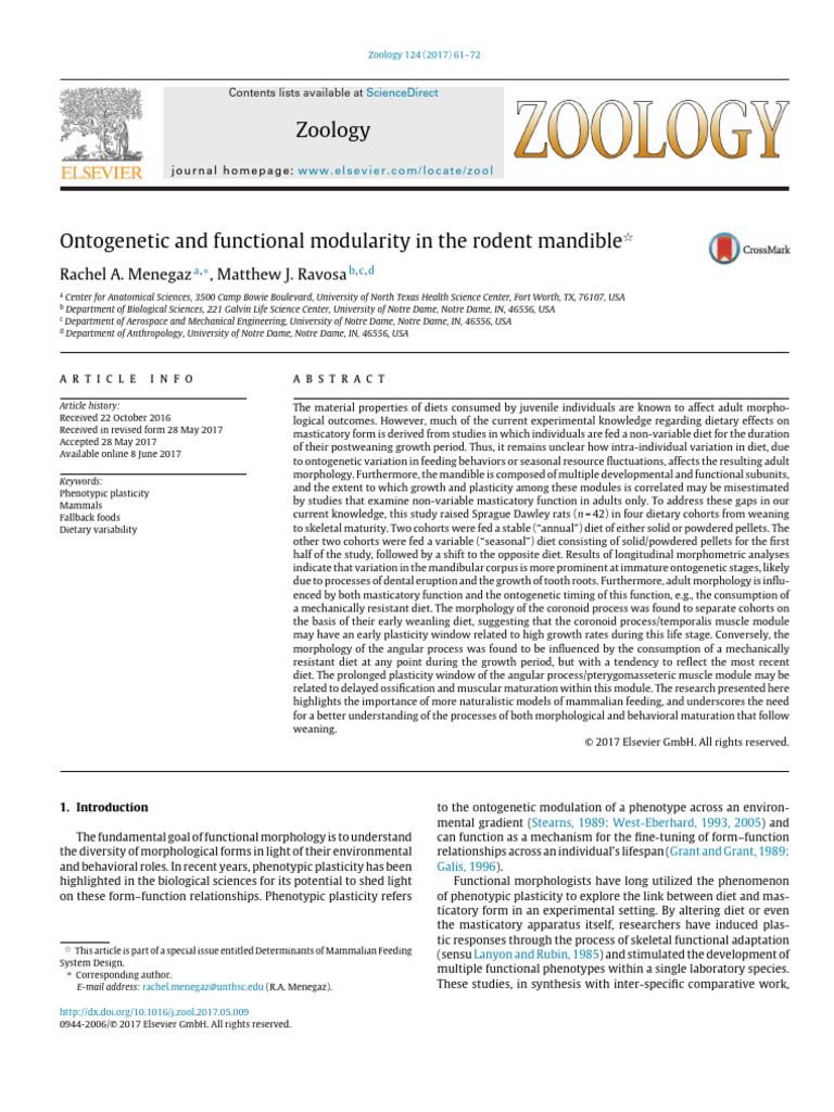 Rodent Mandible: Ontogenetic Modularity | PDF | Coefficient Of ...
