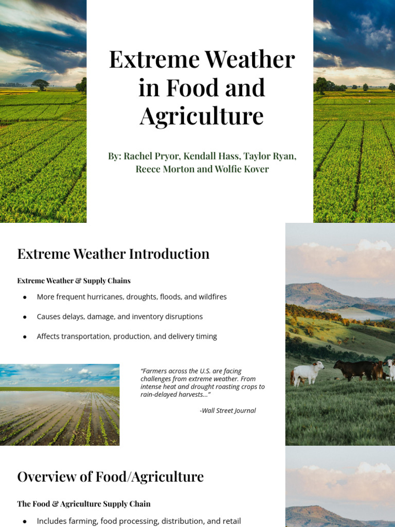 Extreme Weather's Impact on Agriculture | PDF | Agriculture | Extreme ...