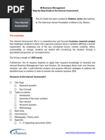 Business IA Structure and Guidelines | PDF