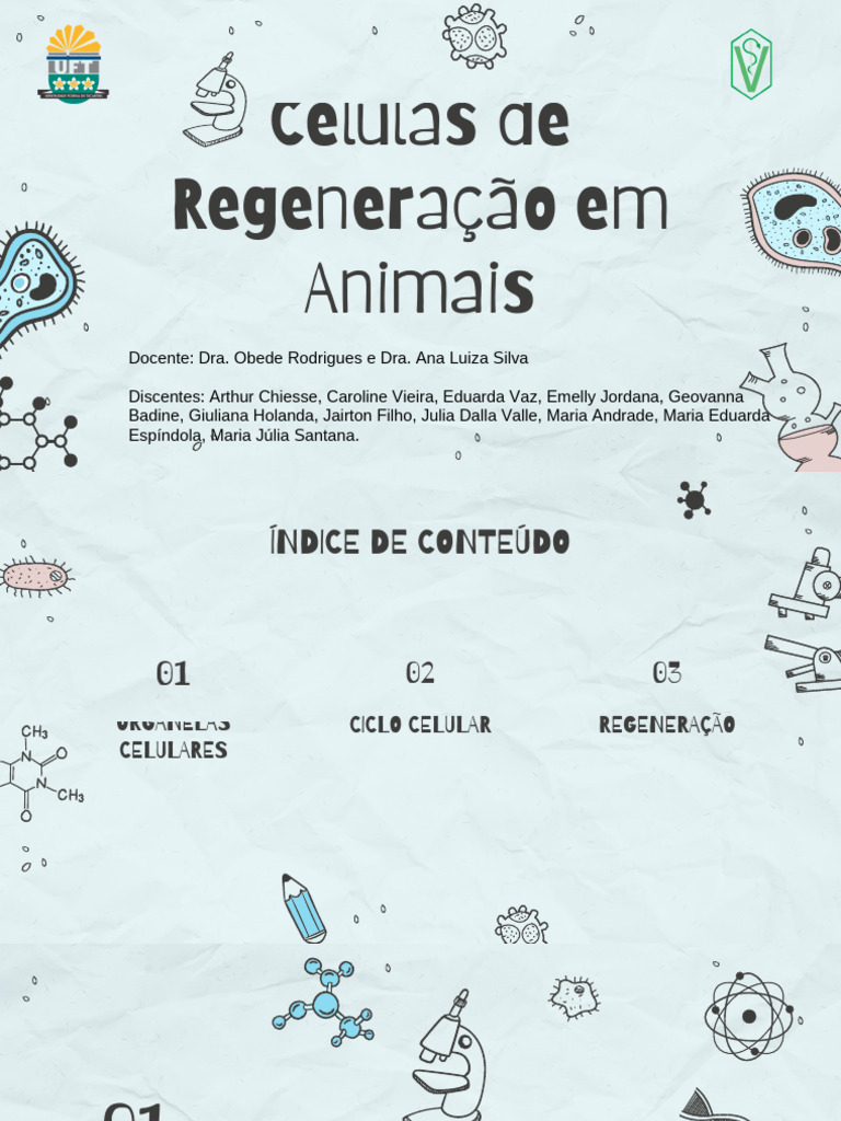 Células Regenerativas Pptx 20250421 164500 0000 Pdf