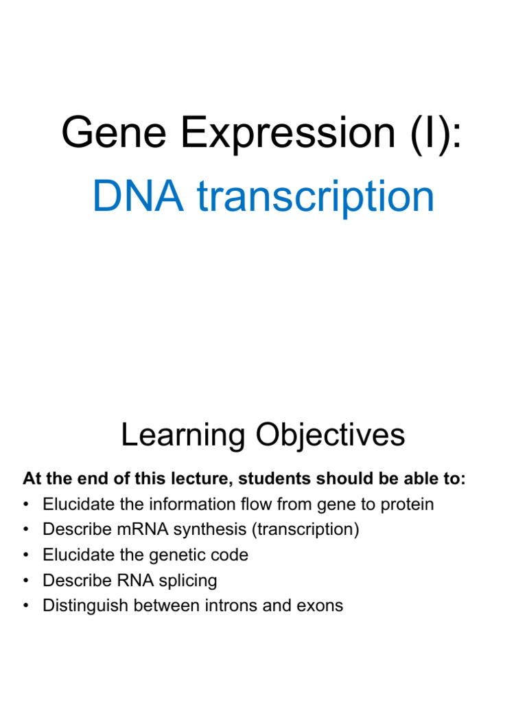Gene Expression: Transcription Basics | PDF | Messenger Rna | Rna